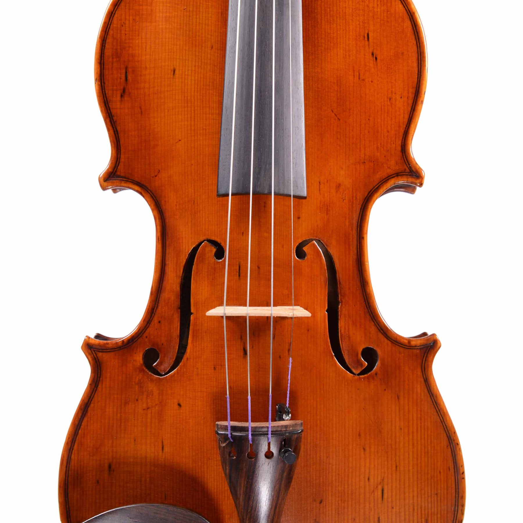 Deli Sacilotto Violin 2008, Tampa FL, USA (FS216)