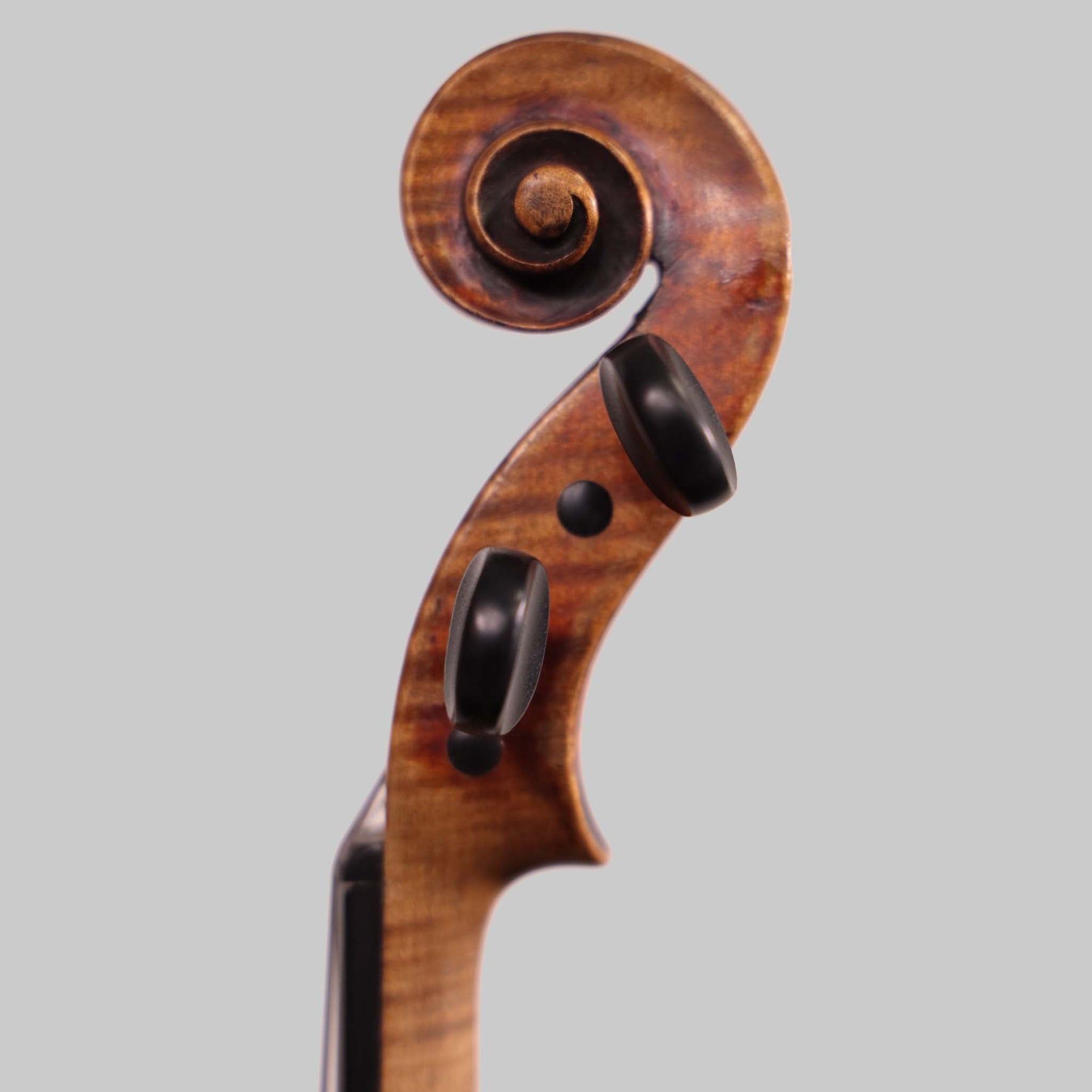 Violin Labeled Nicolaus Amati Fecit ca. 1658 (FS306)