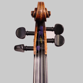 Violin Labeled Nicolaus Amati Fecit ca. 1658 (FS306)