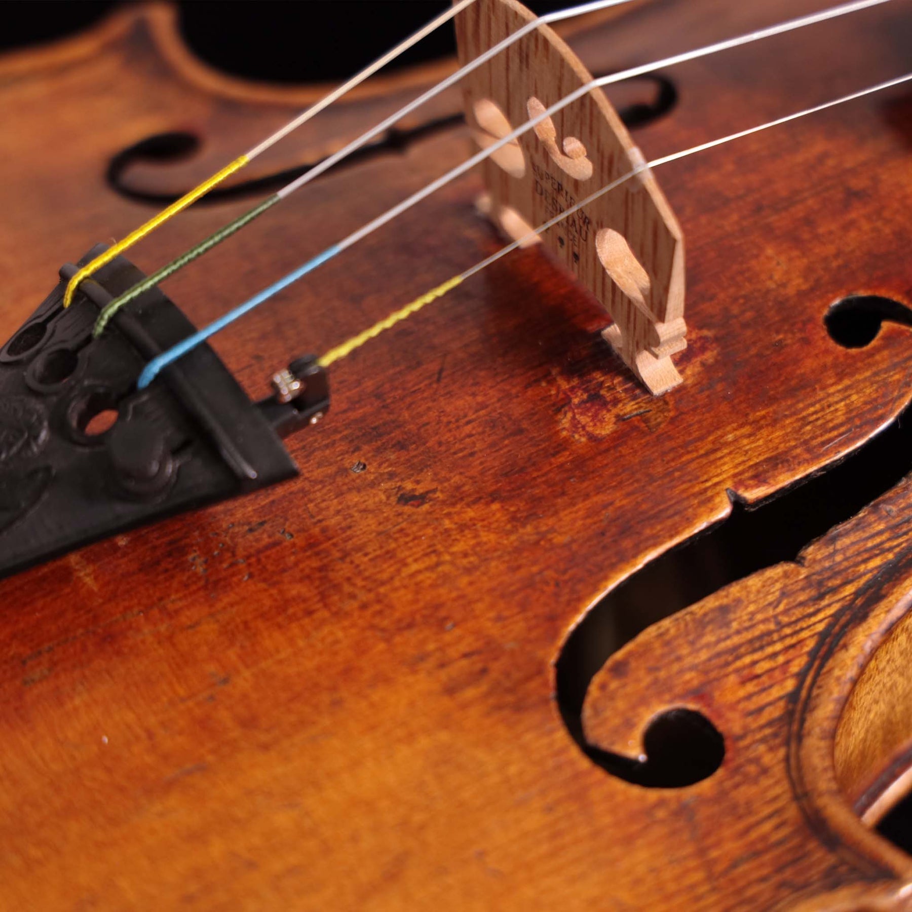 Violin Labeled Nicolaus Amati Fecit ca. 1658 (FS306)