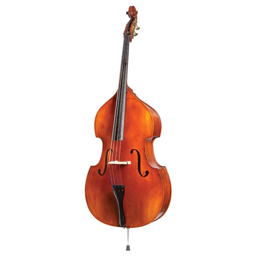 コントラバス　Double Bass バギー Double Basses