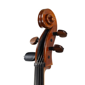 Calin Wultur Piatti Student Cello