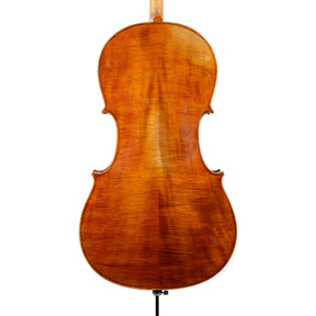 Calin Wultur Piatti Student Cello