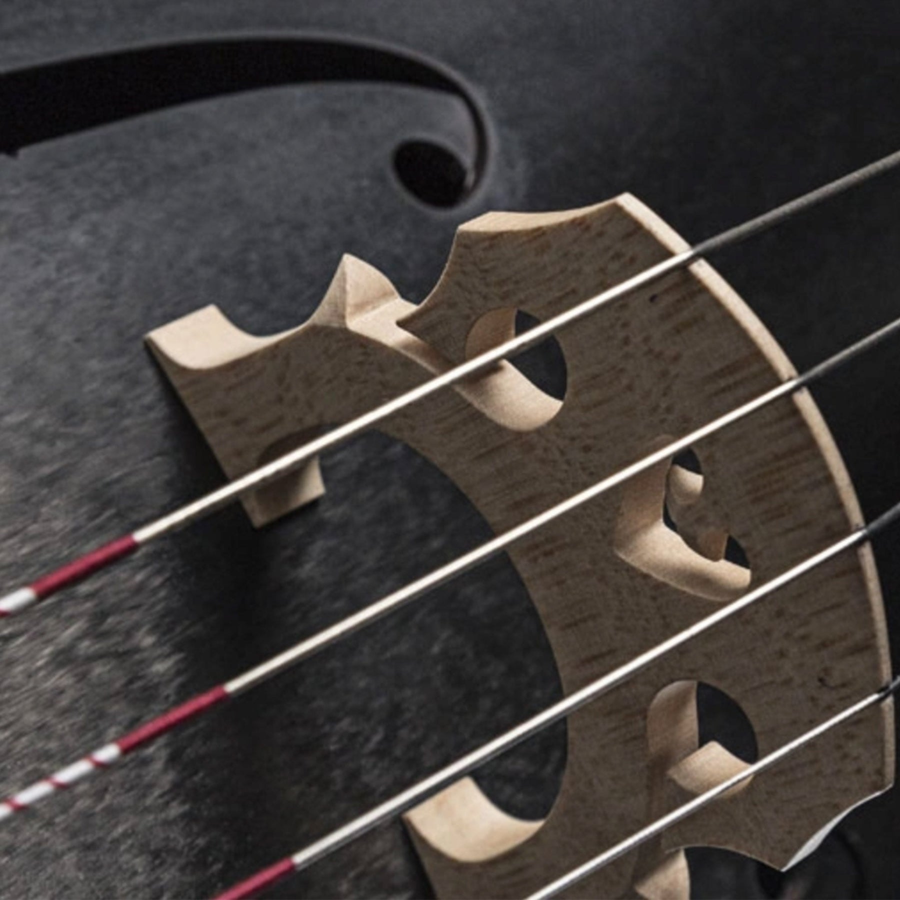 Carbon-Klang Elena Carbon Fiber Cello