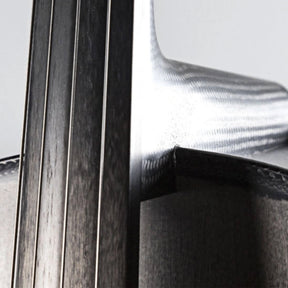 Carbon-Klang Elena Carbon Fiber Cello