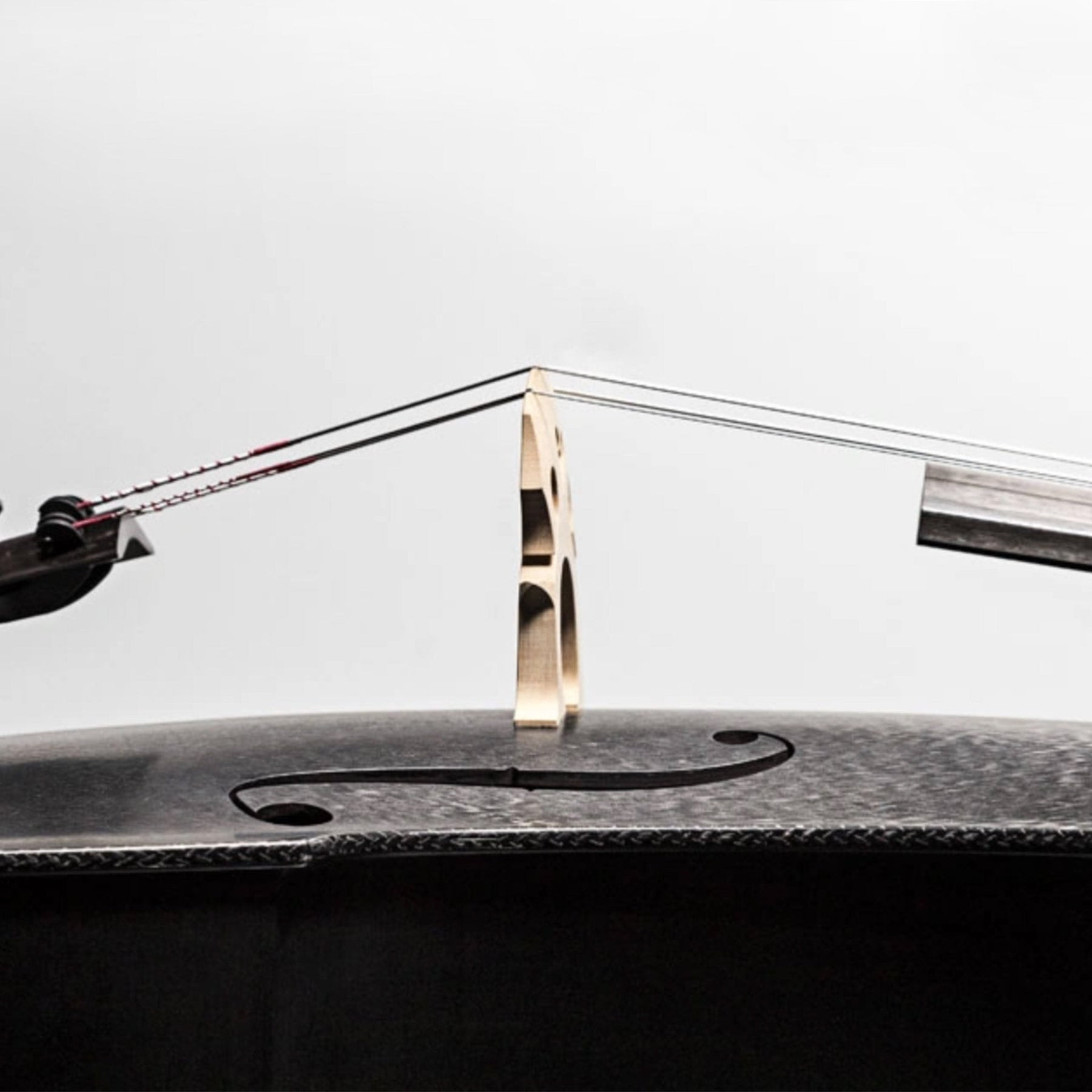 Carbon-Klang Elena Carbon Fiber Cello