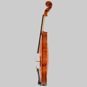 Francesco Pierotti, Cesena Italy, Violin 2023