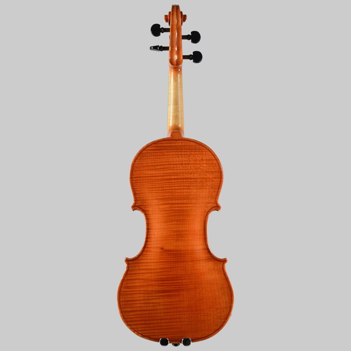 Francesco Pierotti, Cesena Italy, Violin 2023