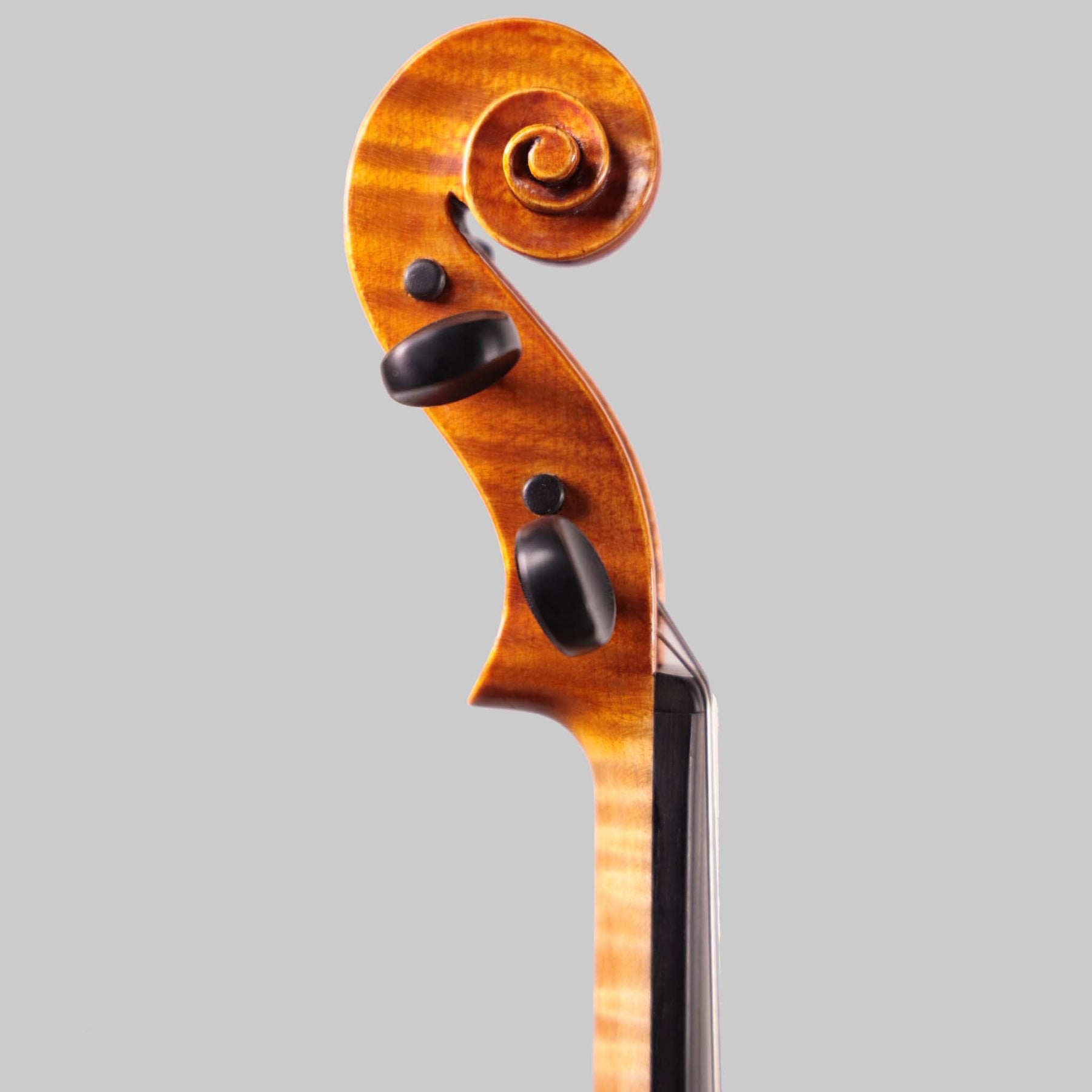 Frank A. Pascarella, Florida USA Violin 2013