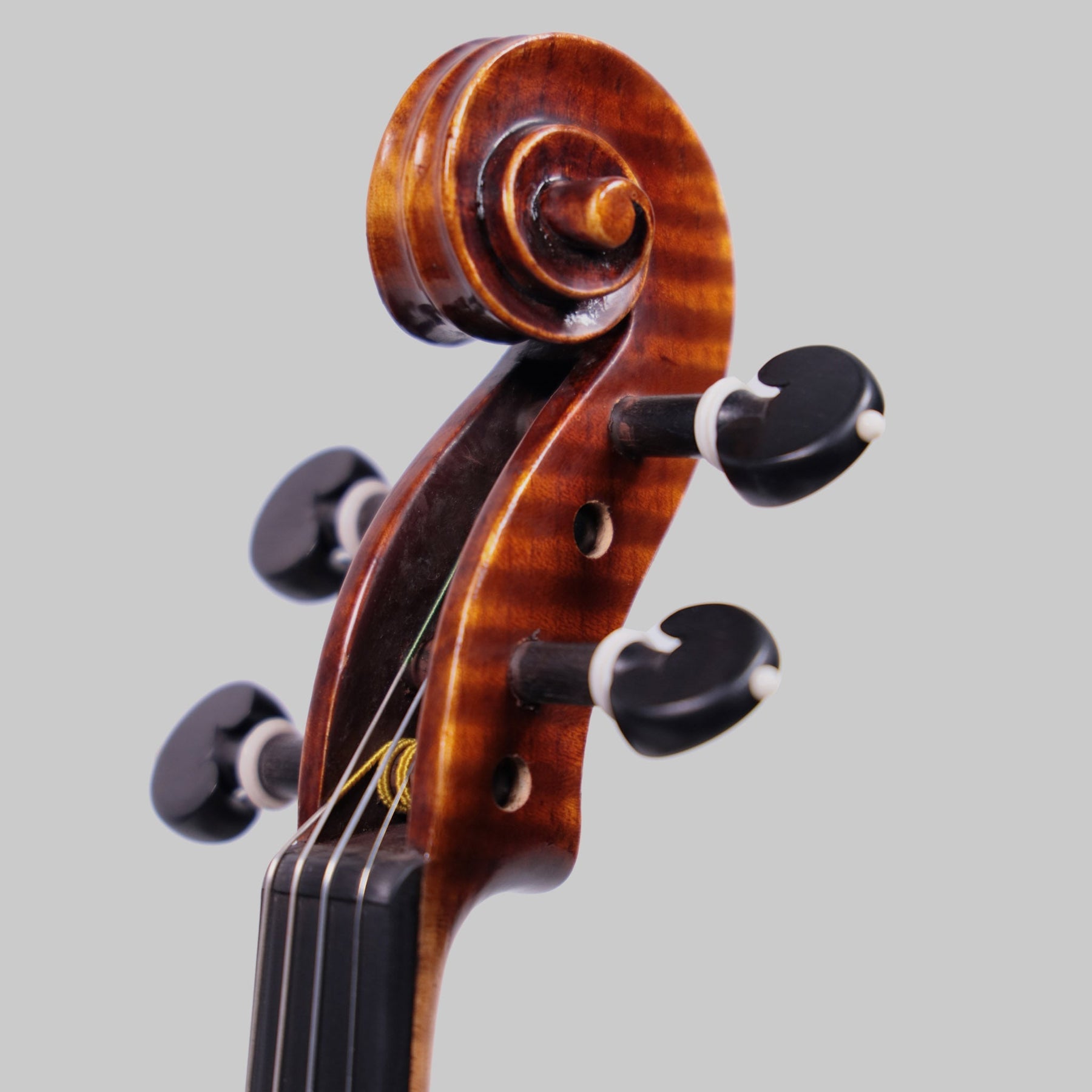 Holstein Traditional Lord Wilton Violin