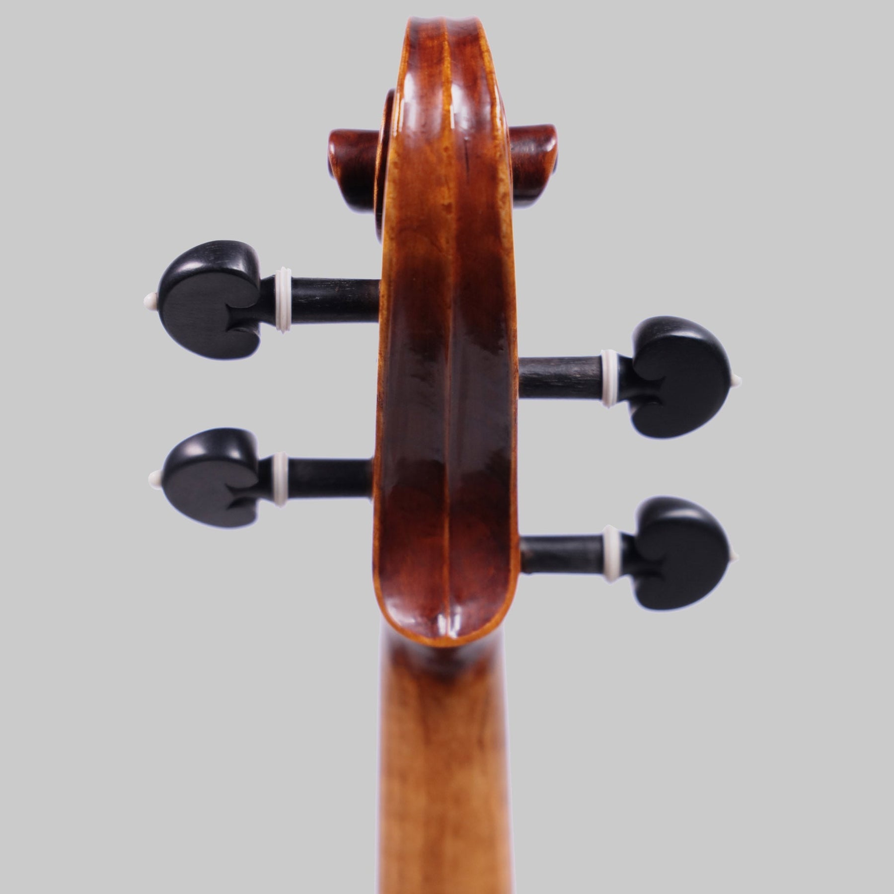 Holstein Traditional Lord Wilton Violin