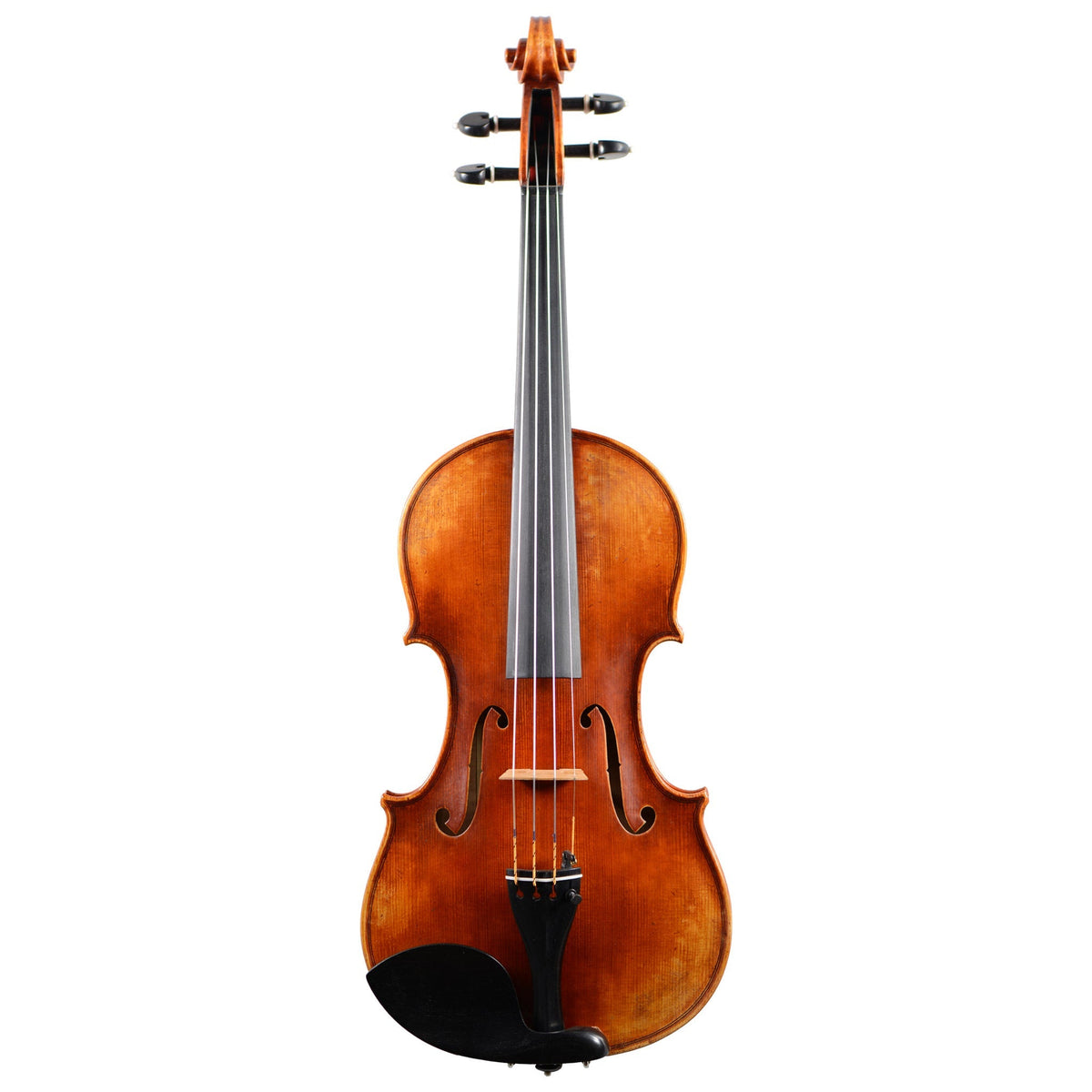 Holstein Workshop Plowden Violin