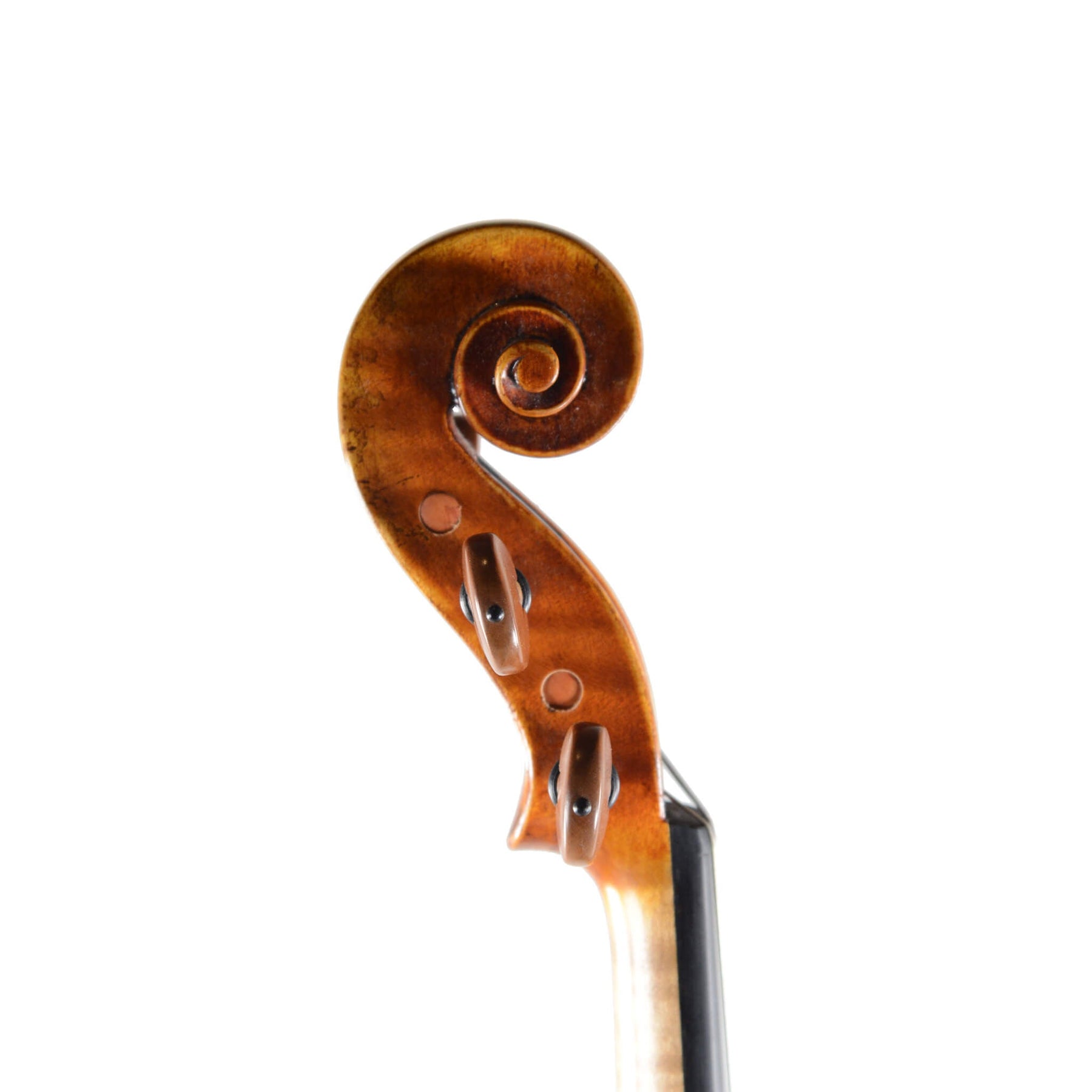 Holstein Premium Bench Plowden 1735 Violin