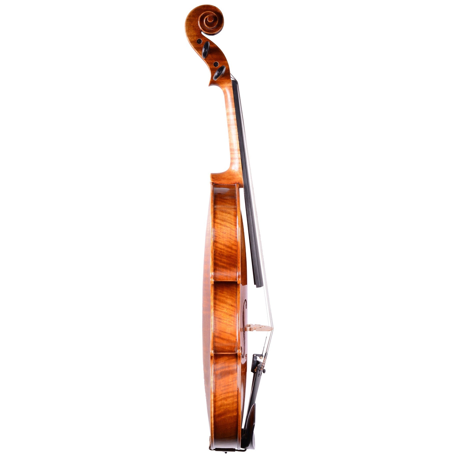 Holstein Traditional Cannone Violin