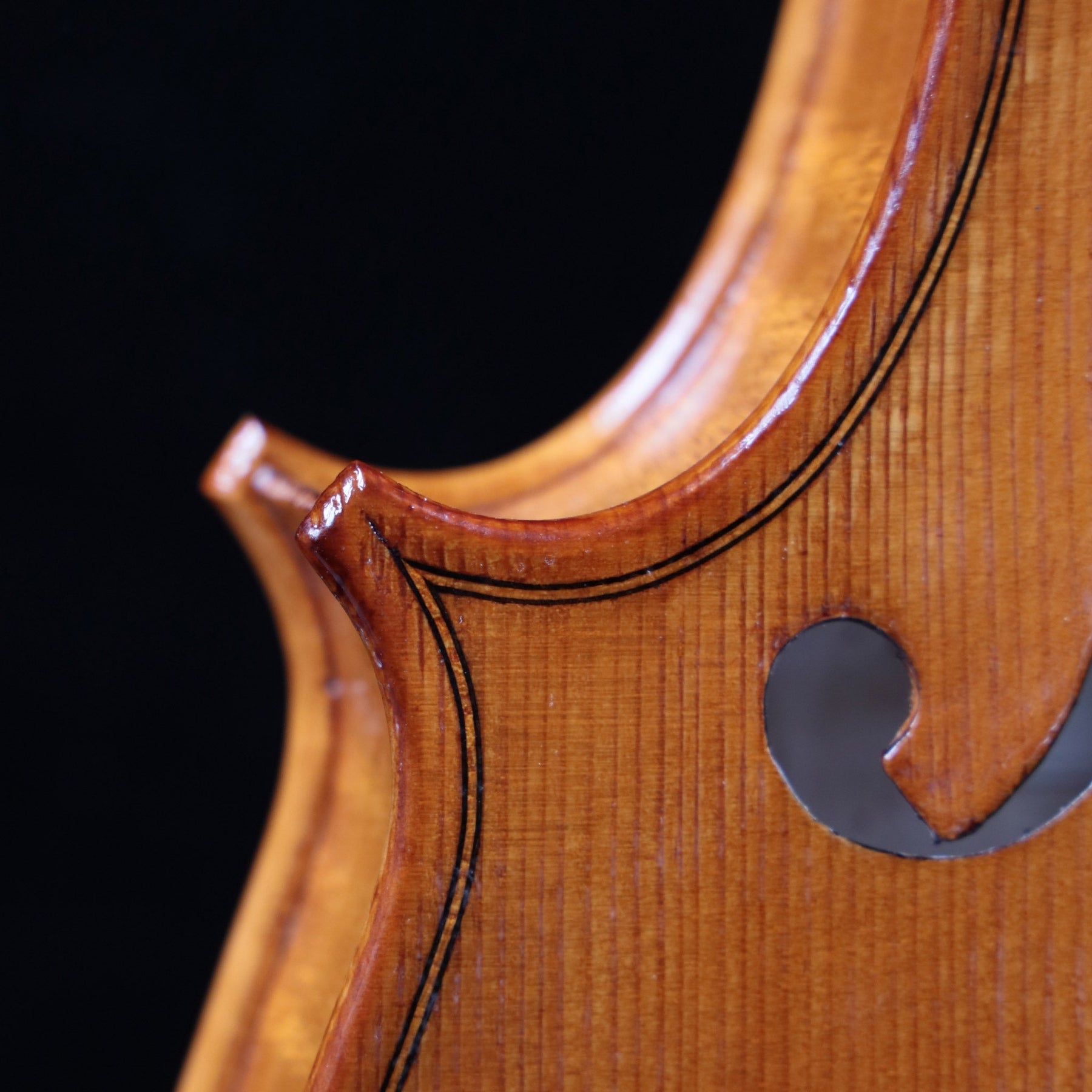 Luca Zerilli Violin, Udine Italy, 2020 No. 28