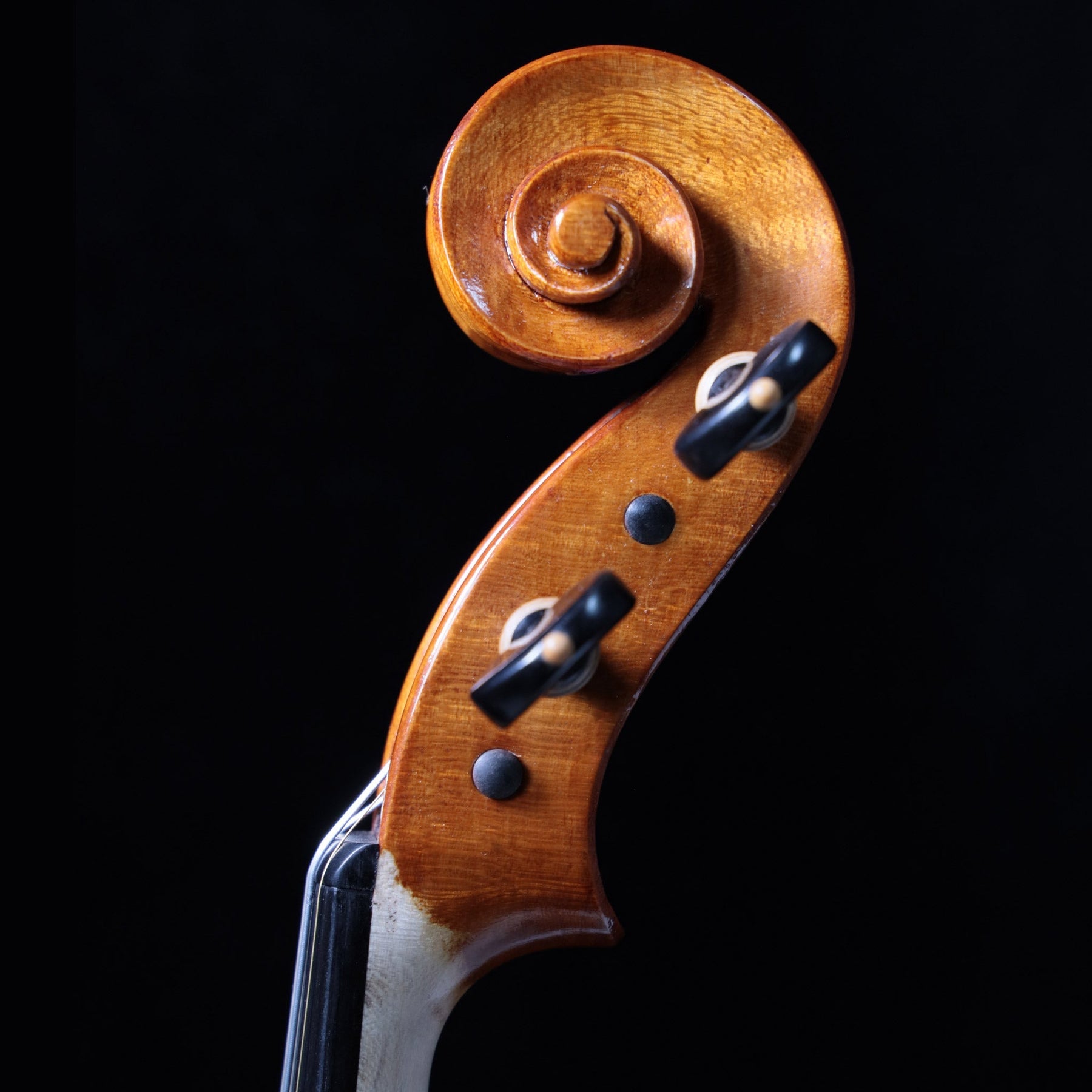 Luca Zerilli Violin, Udine Italy, 2020 No. 28