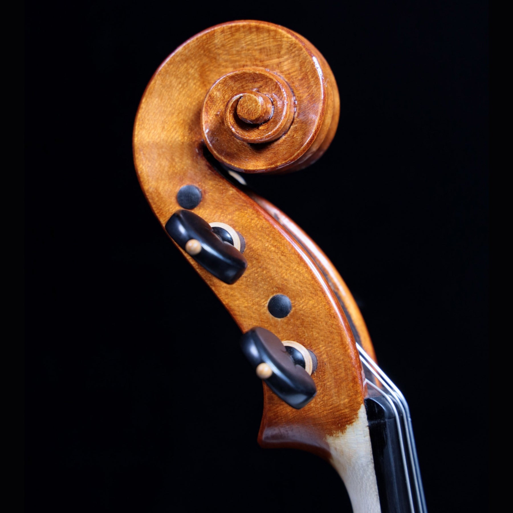 Luca Zerilli Violin, Udine Italy, 2020 No. 28