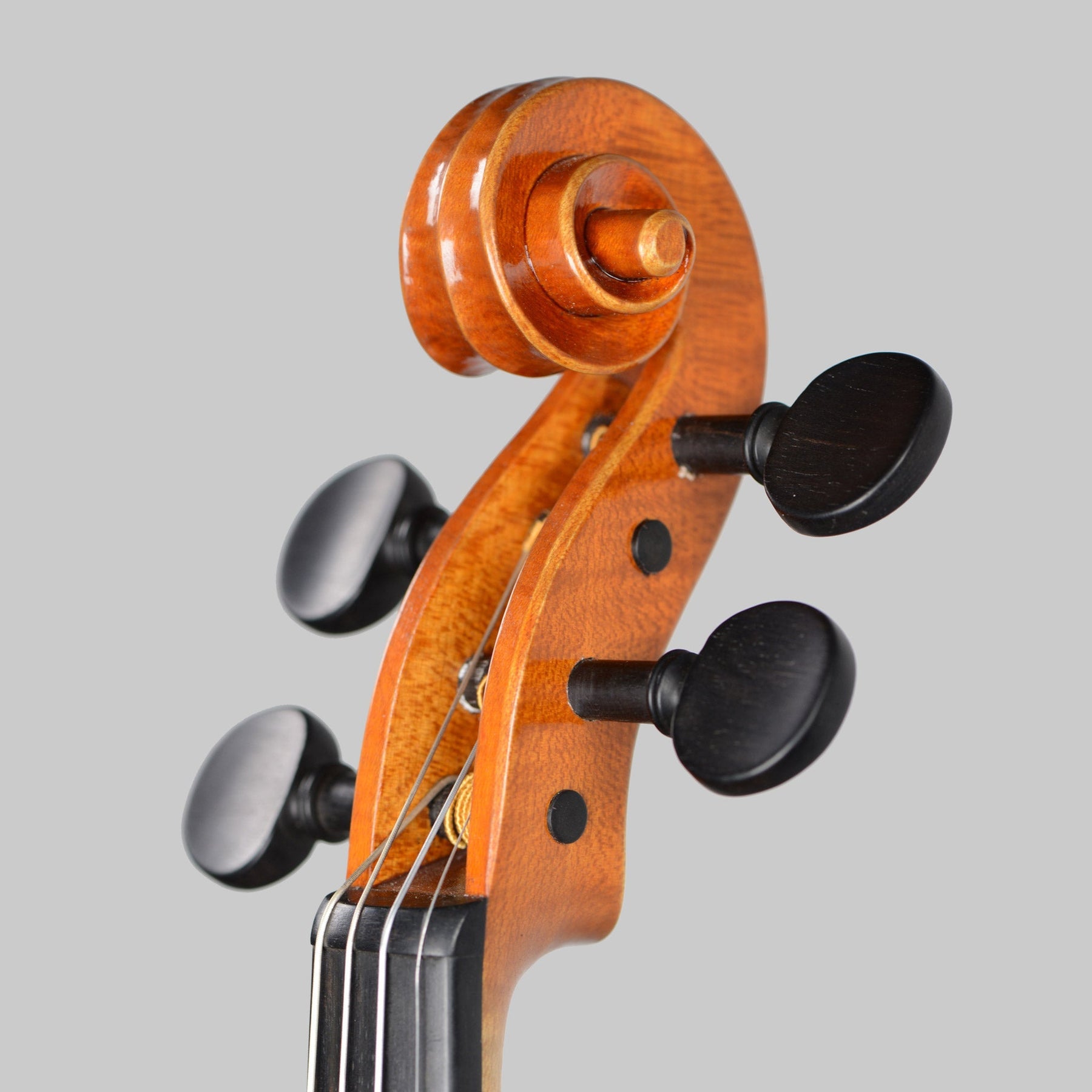 Marco Anedda Violin, Monterchi, 2019