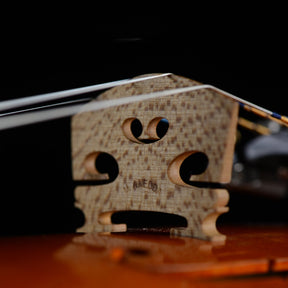 Marco Anedda Violin, Monterchi, 2019