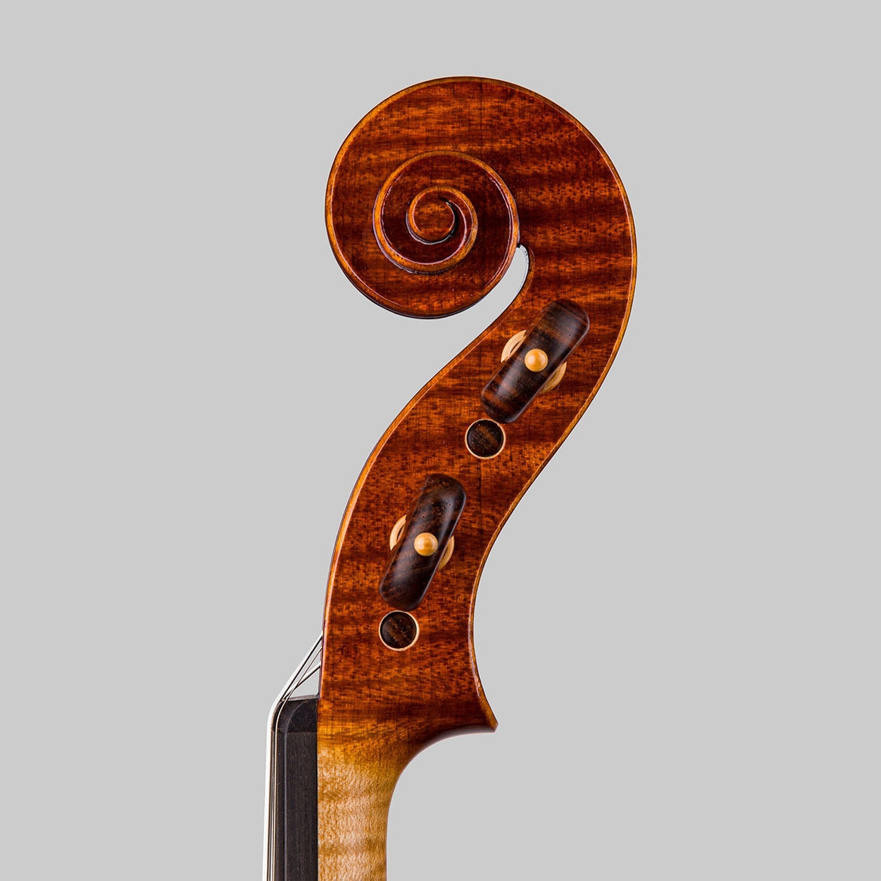 Marco Cargnelutti 2023 "Ysaÿe" Guarneri del Gesù Violin