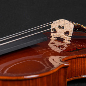 Marco Cargnelutti "Il Toscano" 2022 Violin