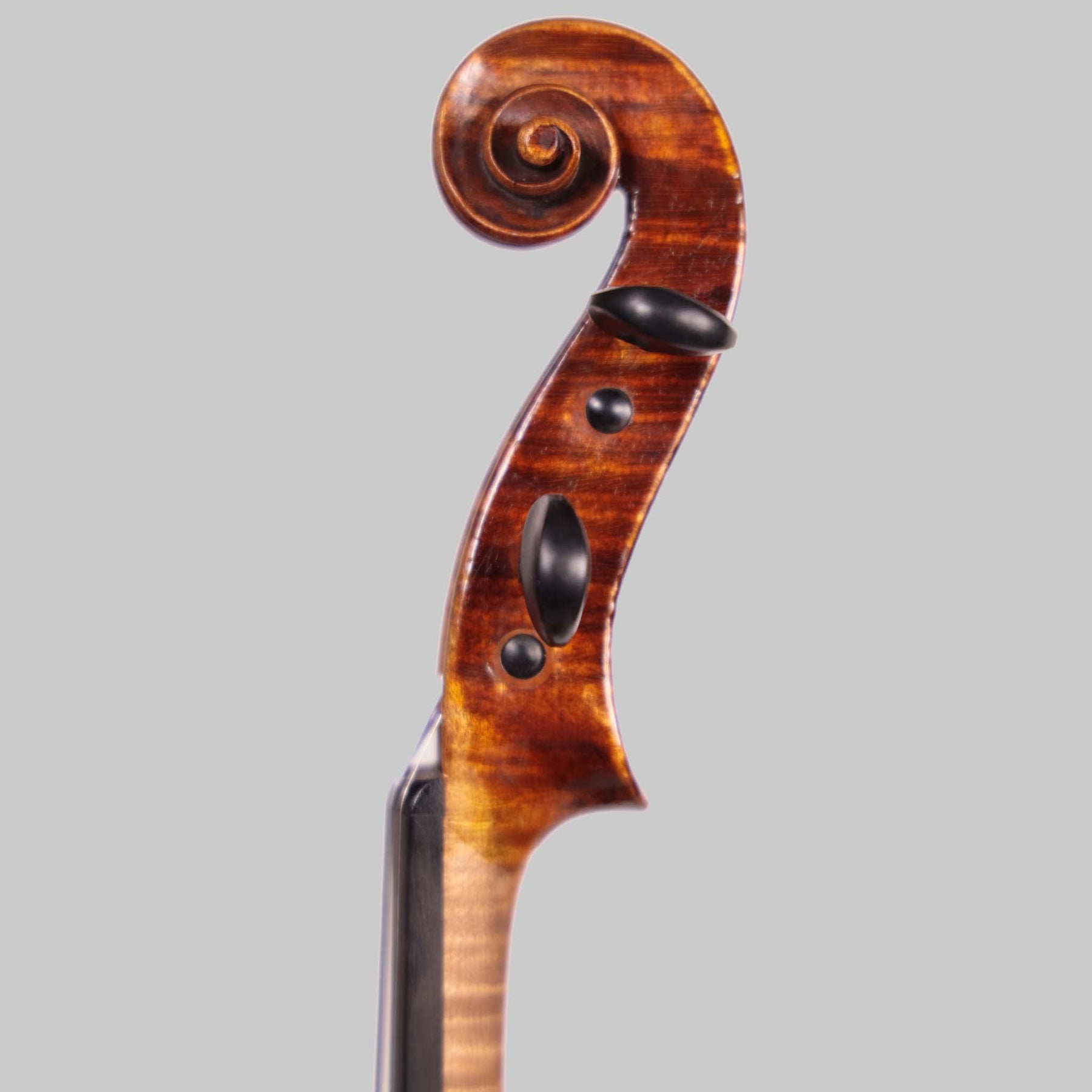 Matthias Placht, Antique German Violin