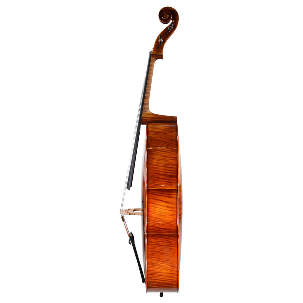 Ming Jiang Zhu 907 Cello