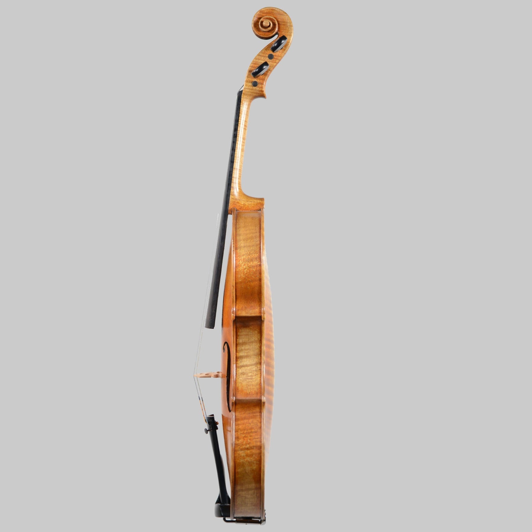 Francesco Pierotti, Cesena Italy, Guarneri 'Canary Bird' Violin 2022