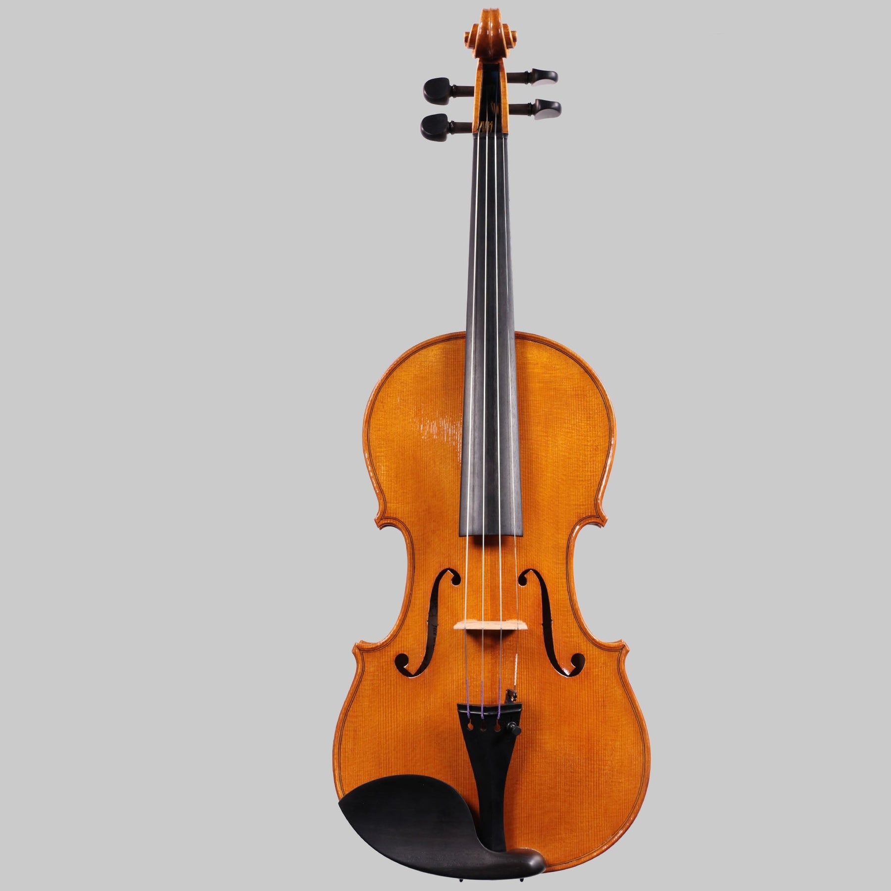 Francesco Pierotti, Cesena Italy, Violin 2021