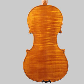 Francesco Pierotti, Cesena Italy, Violin 2021