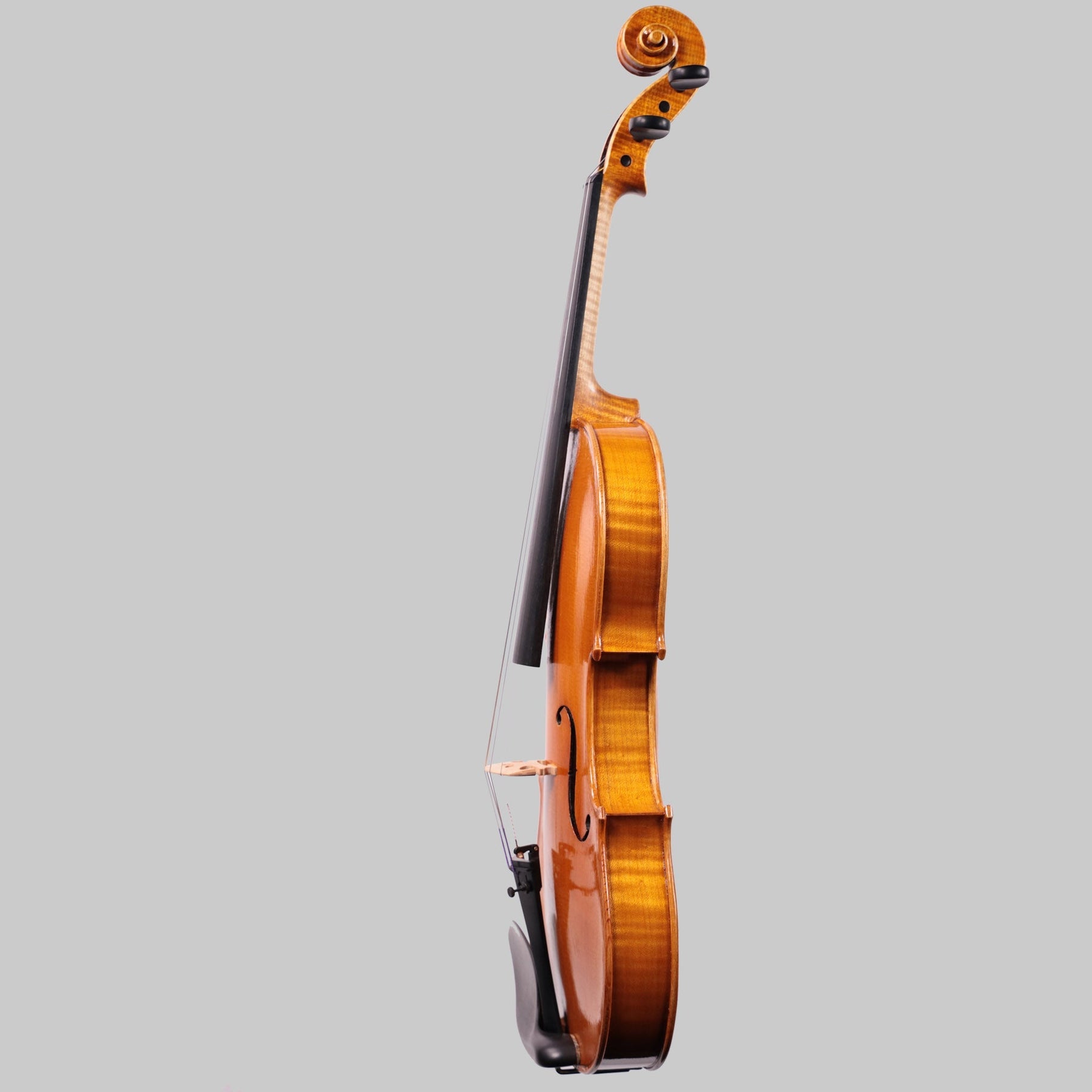 Francesco Pierotti, Cesena Italy, Violin 2021