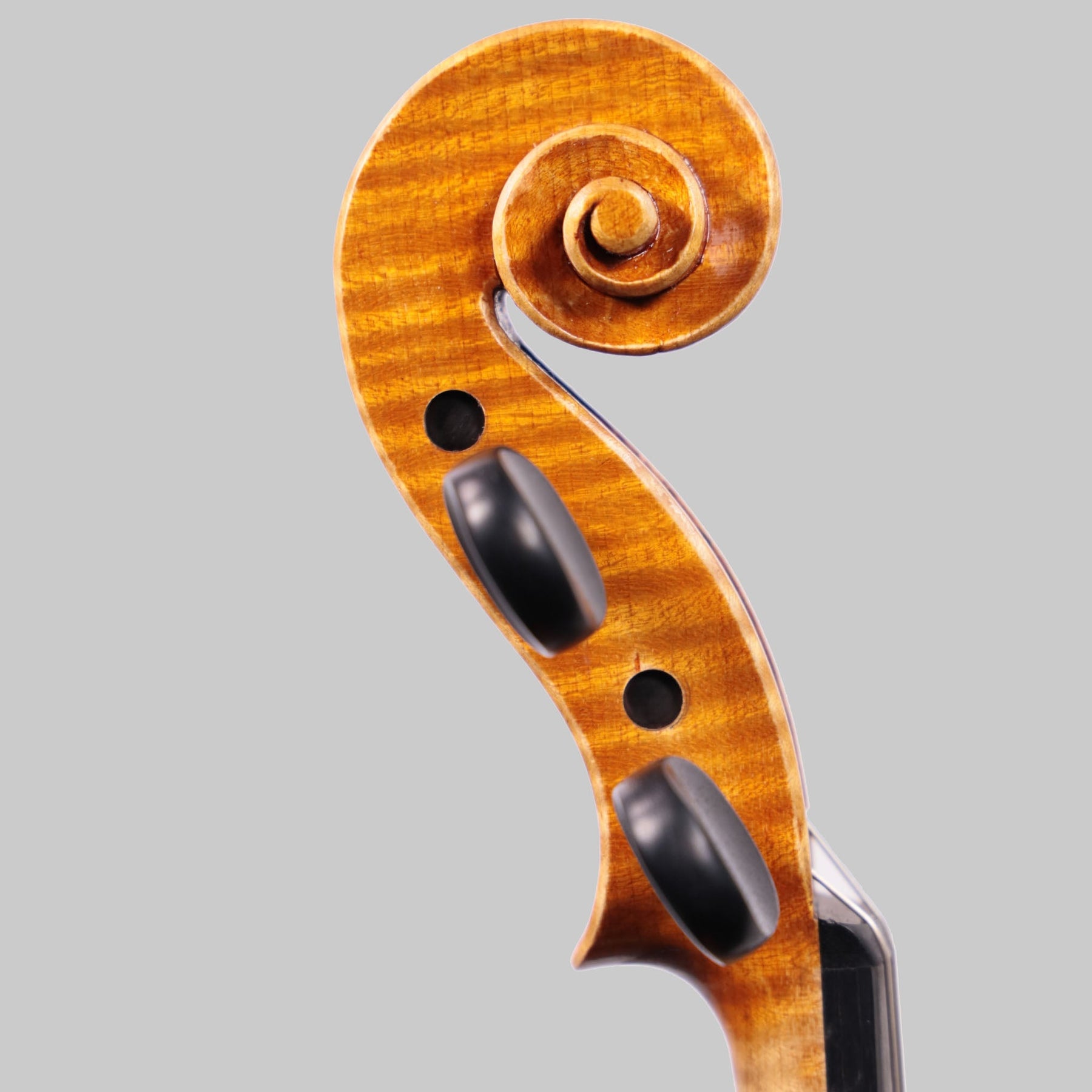 Francesco Pierotti, Cesena Italy, Violin 2021