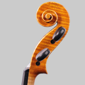 Francesco Pierotti, Cesena Italy, Violin 2021