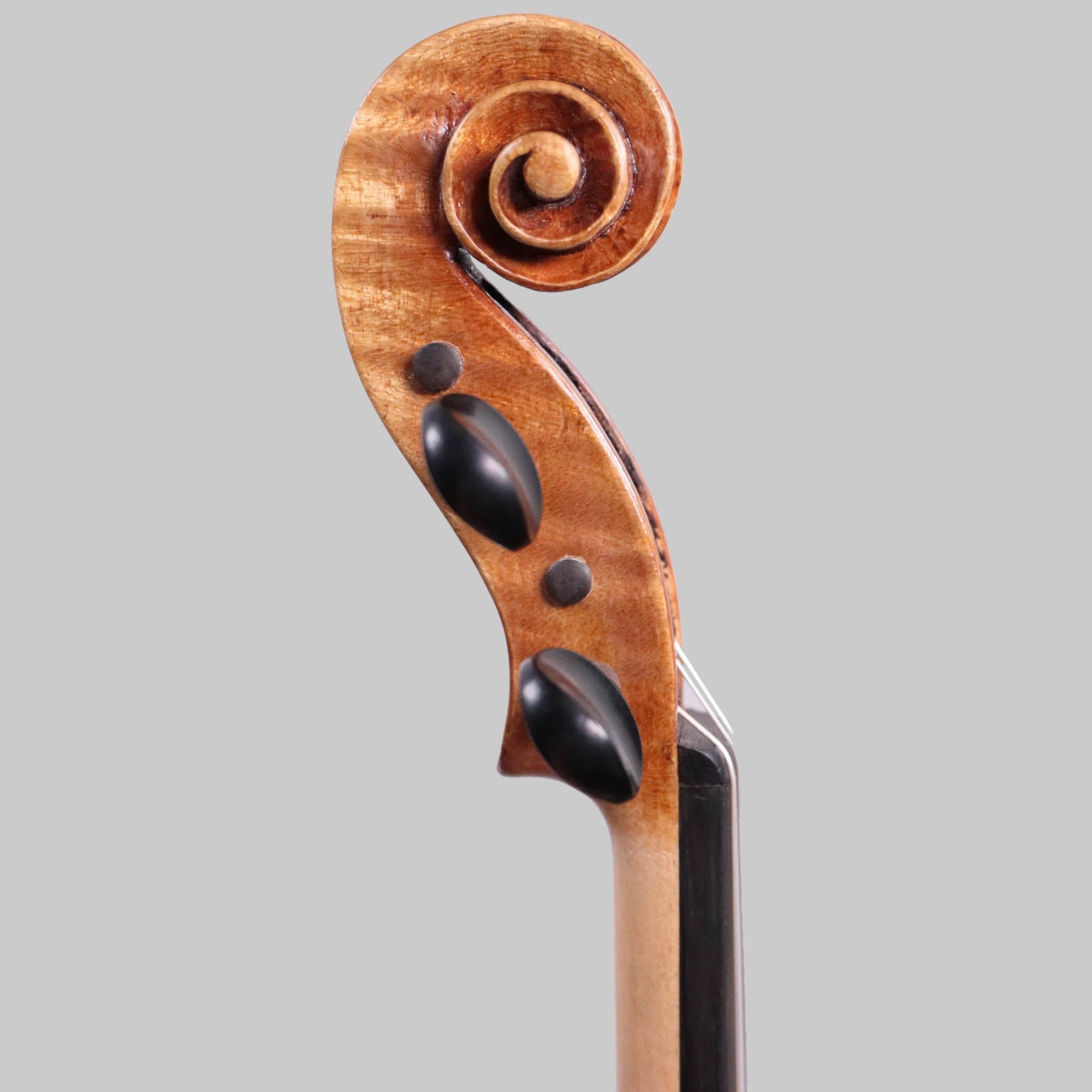 Francesco Pierotti 'Carrodus', Cesena Italy, Violin 2021