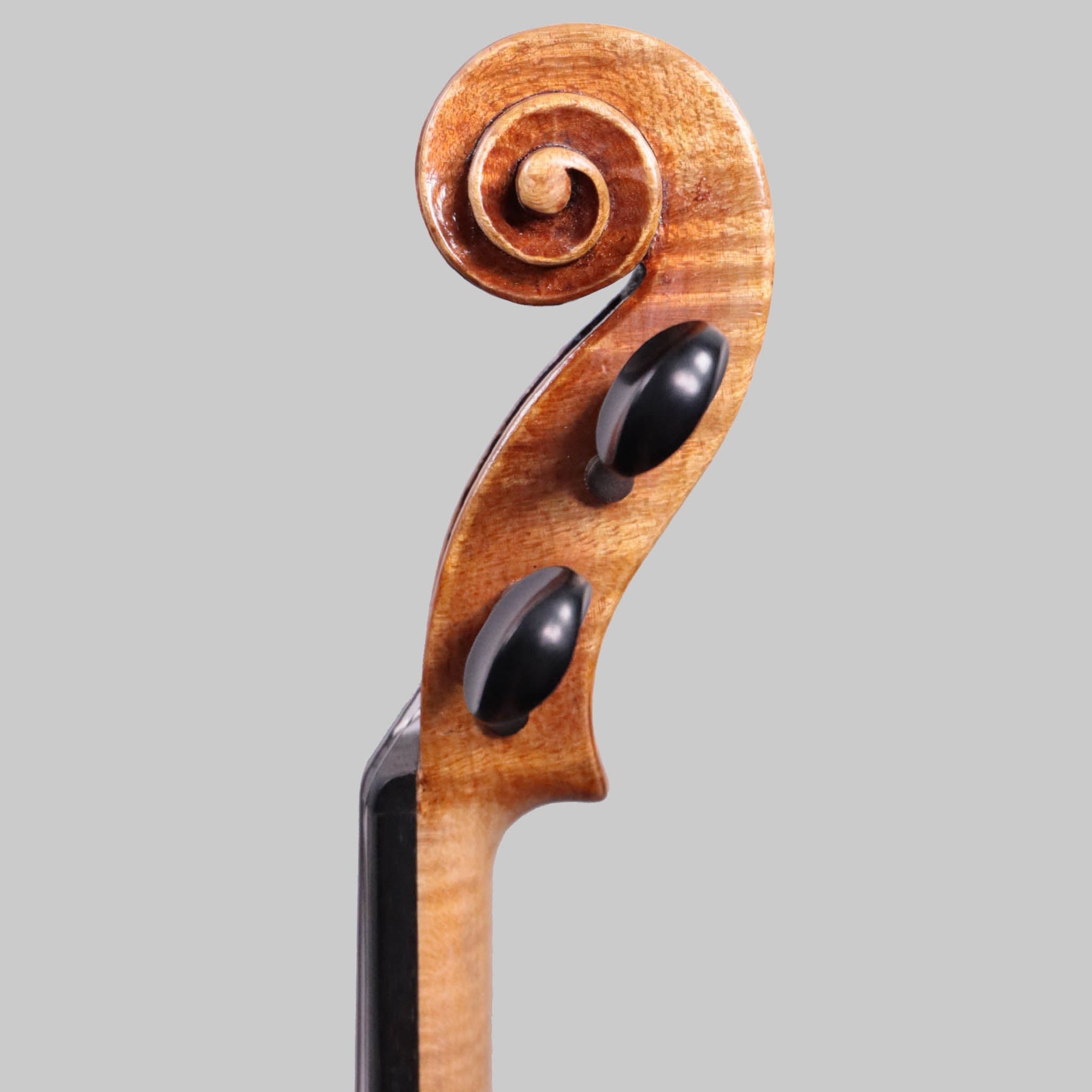 Francesco Pierotti 'Carrodus', Cesena Italy, Violin 2021