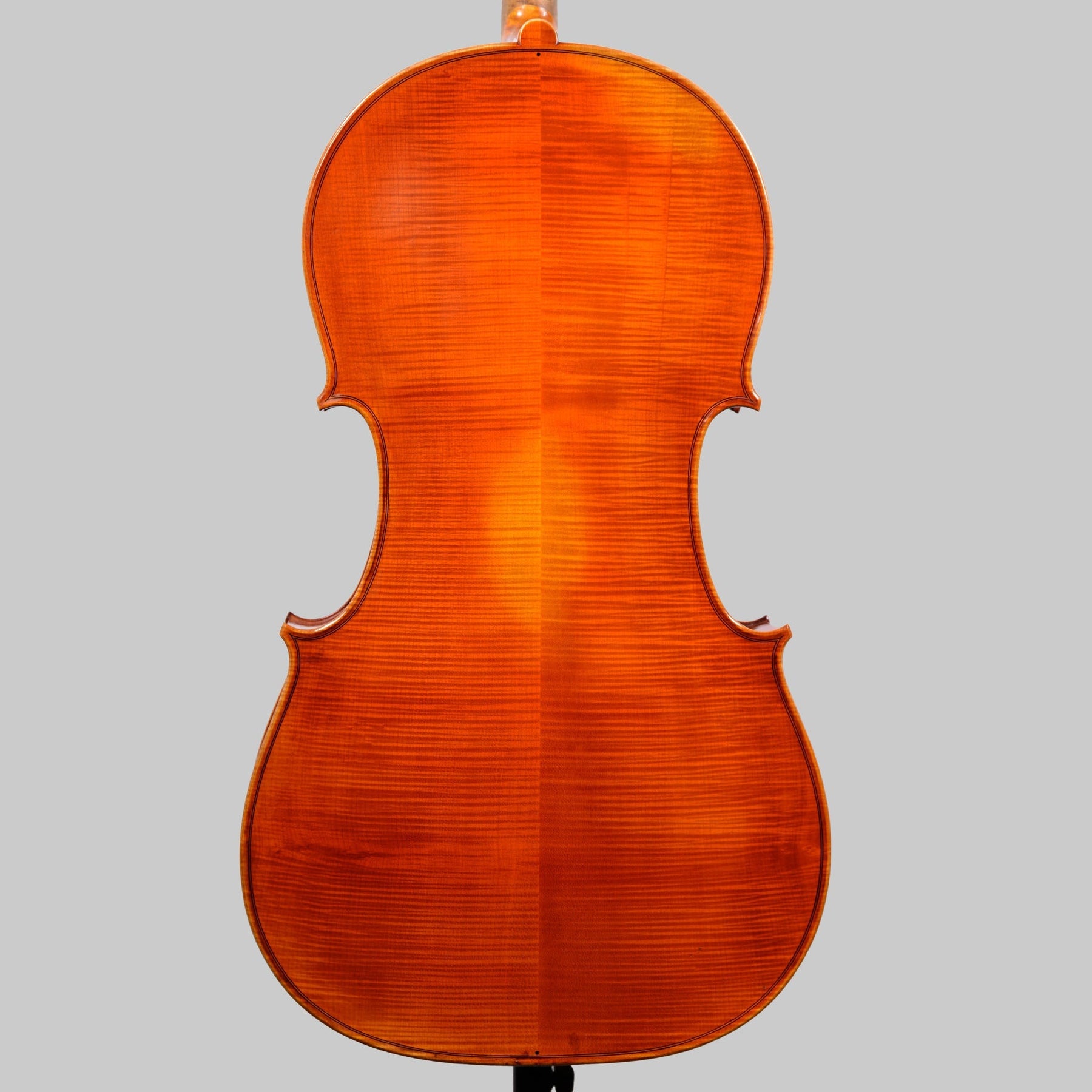 Simon Joseph Stradivarius Cello, Transylvania 2016