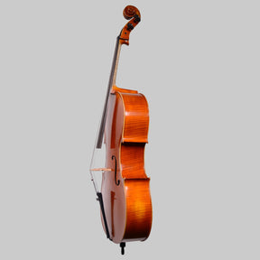 Simon Joseph Stradivarius Cello, Transylvania 2016