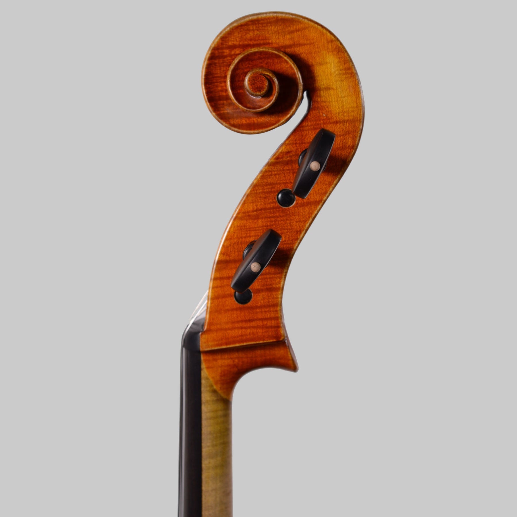 Simon Joseph Stradivarius Cello, Transylvania 2016