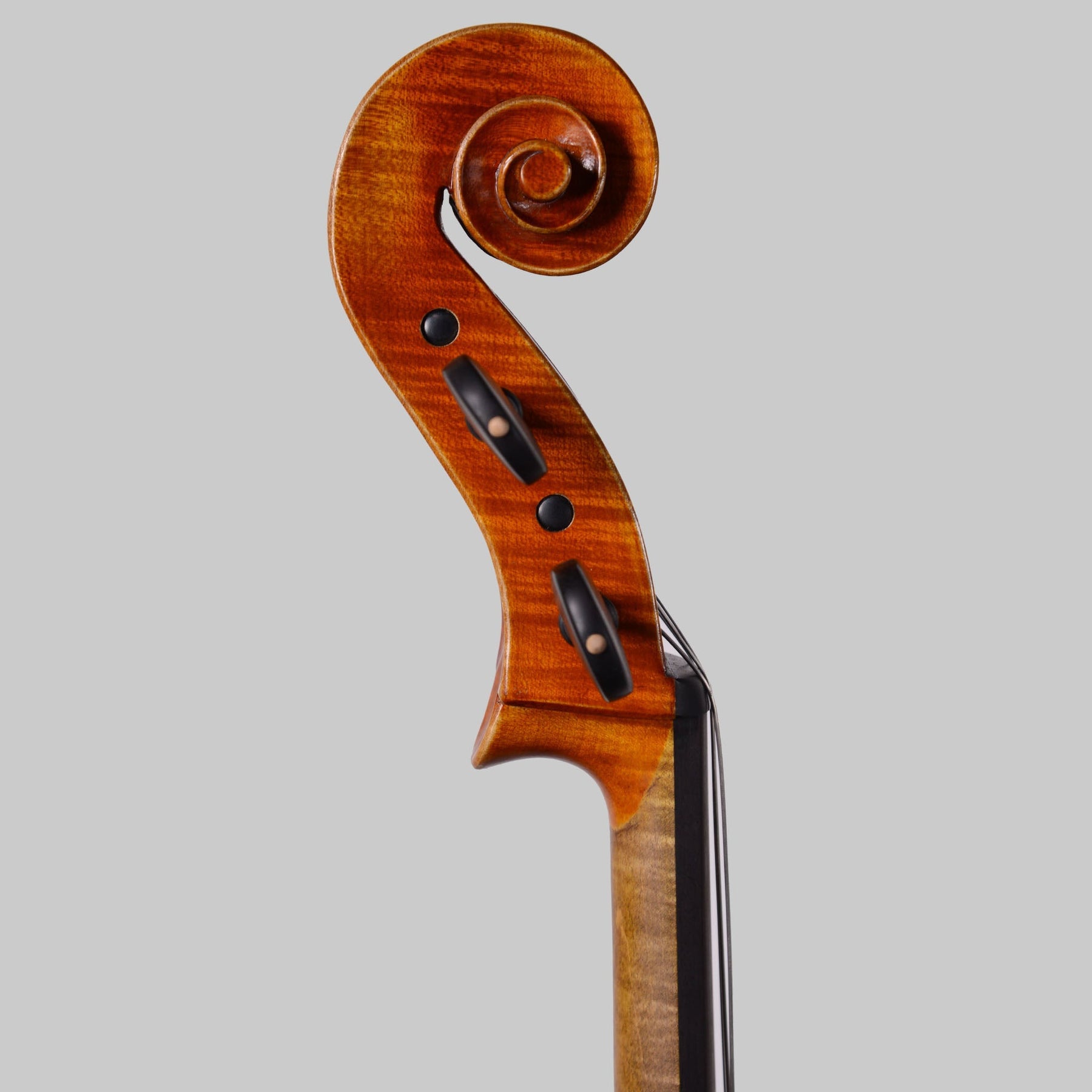 Simon Joseph Stradivarius Cello, Transylvania 2016