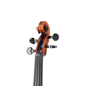 Holstein Traditional Plowden Violin