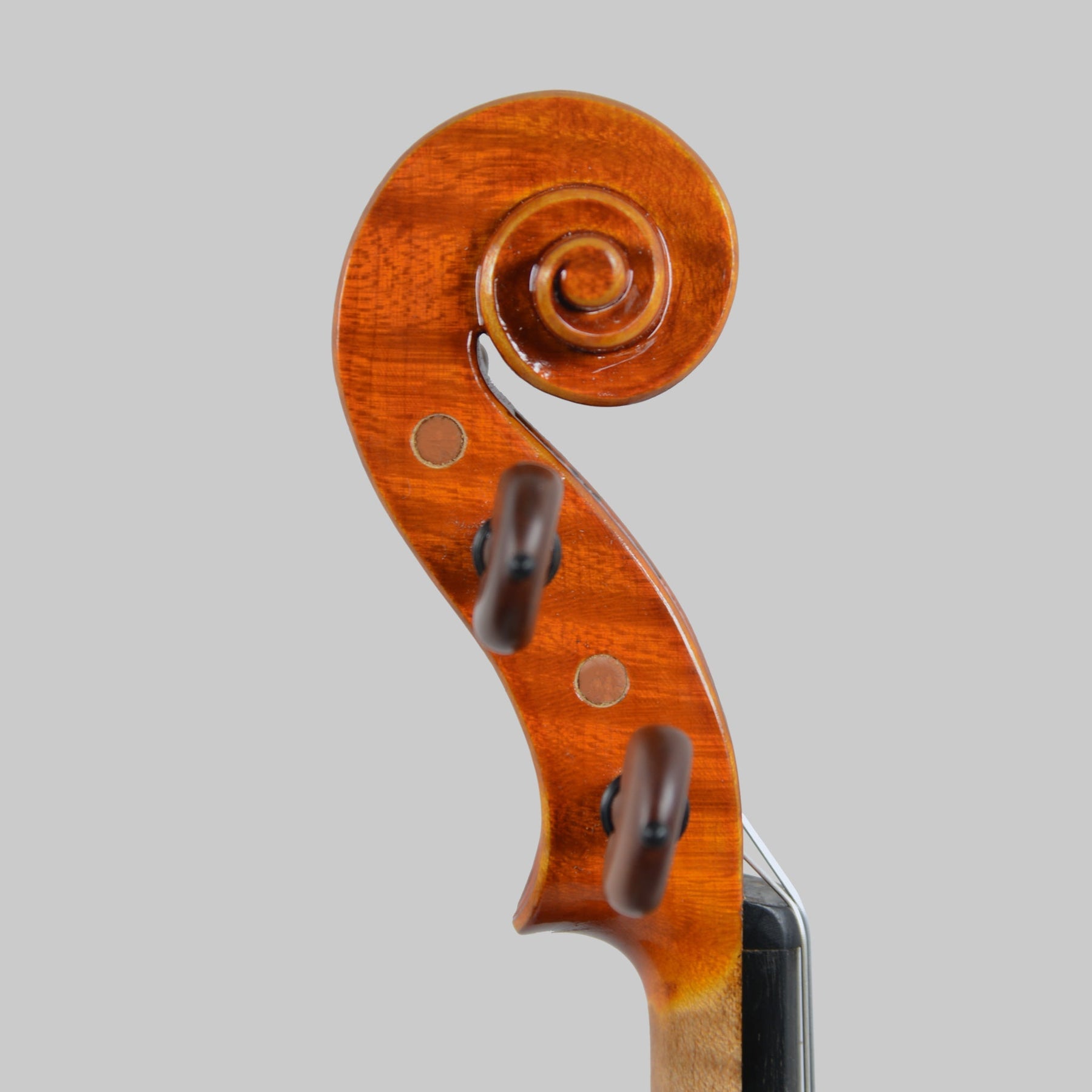 Valerio Prilipco Cremona 2020 Violin