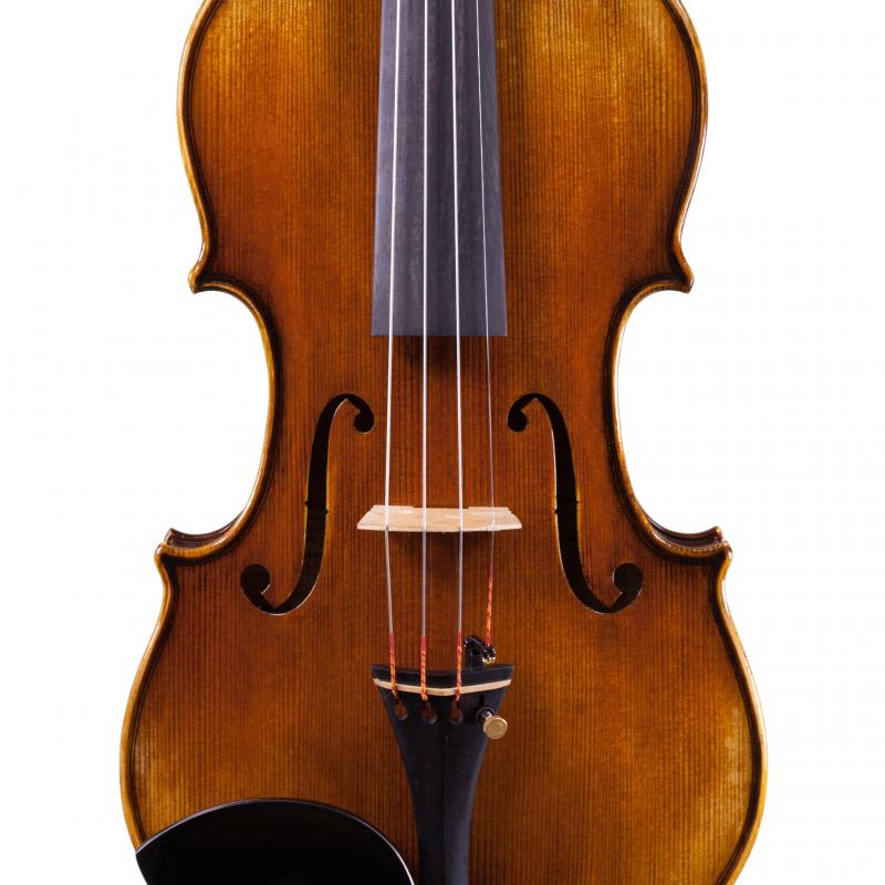 Fiddlerman Master Violin Outfit